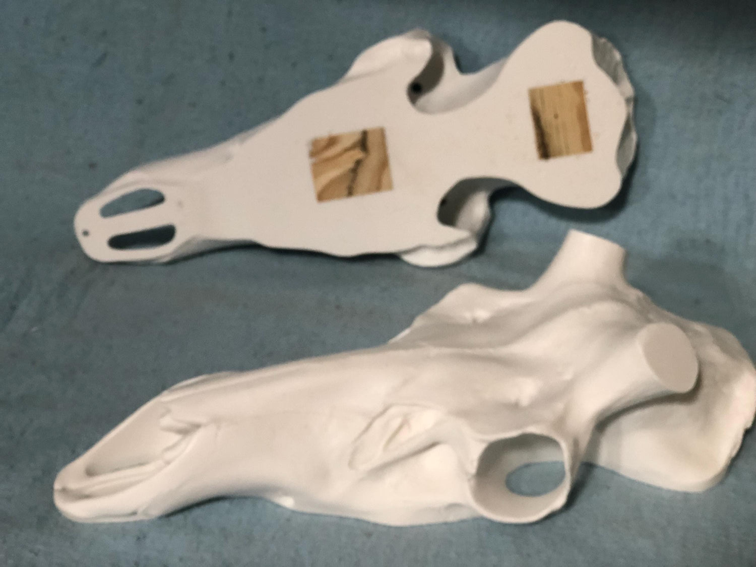 Elk Slotted Skull (Flat Back)