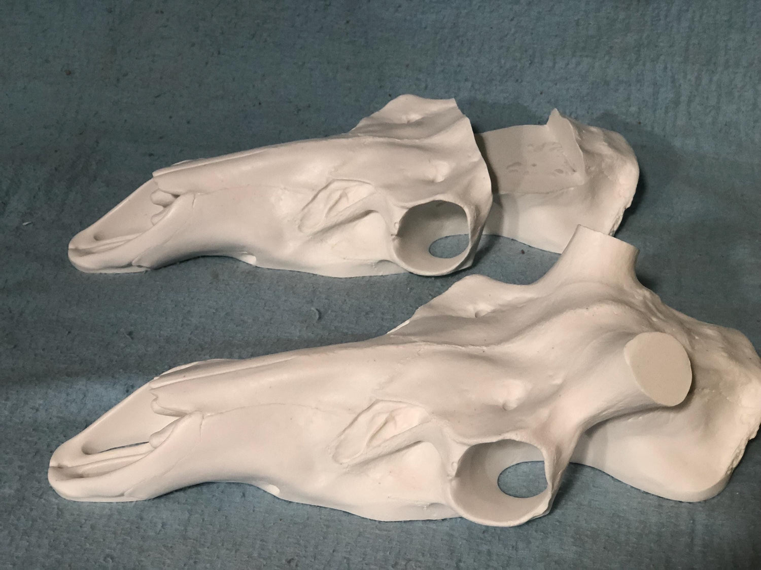 Elk Slotted Skull (Flat Back)