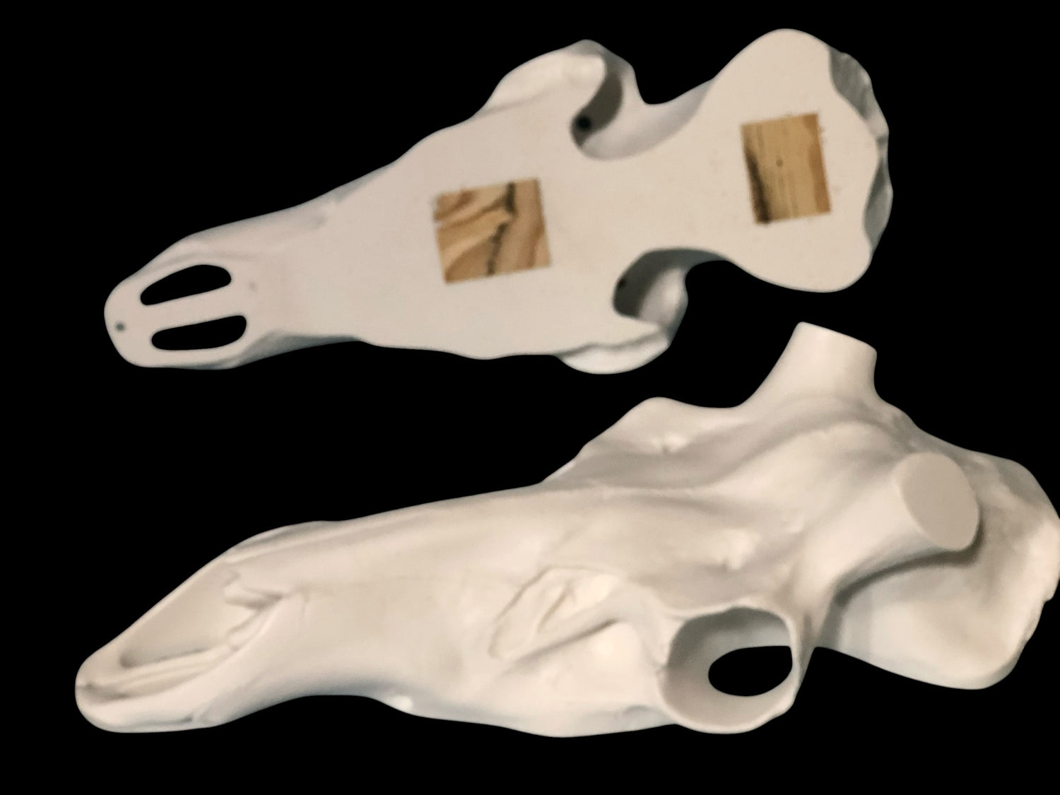 Elk Skull (Flat Back)