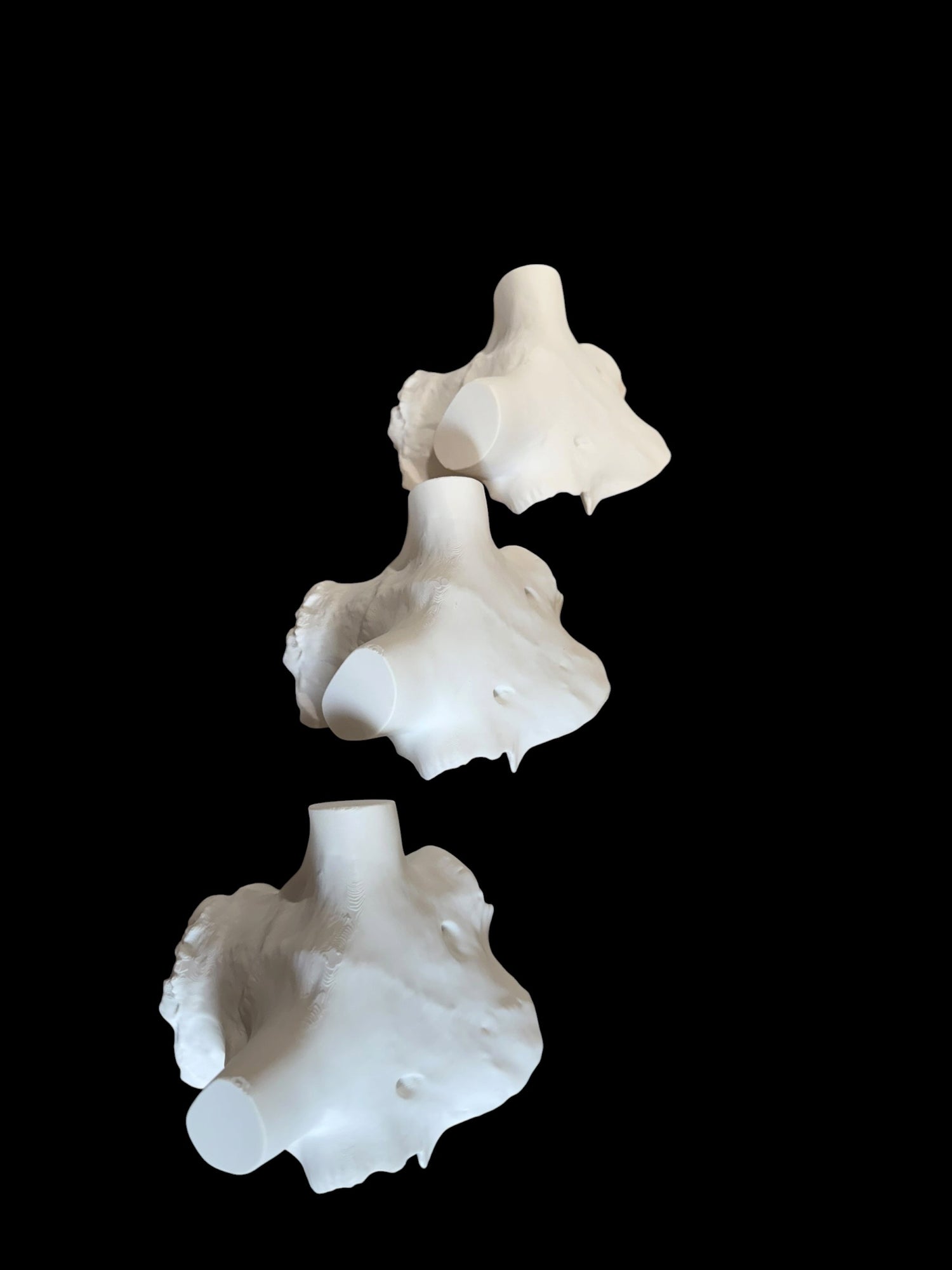 Ram Skull Caps