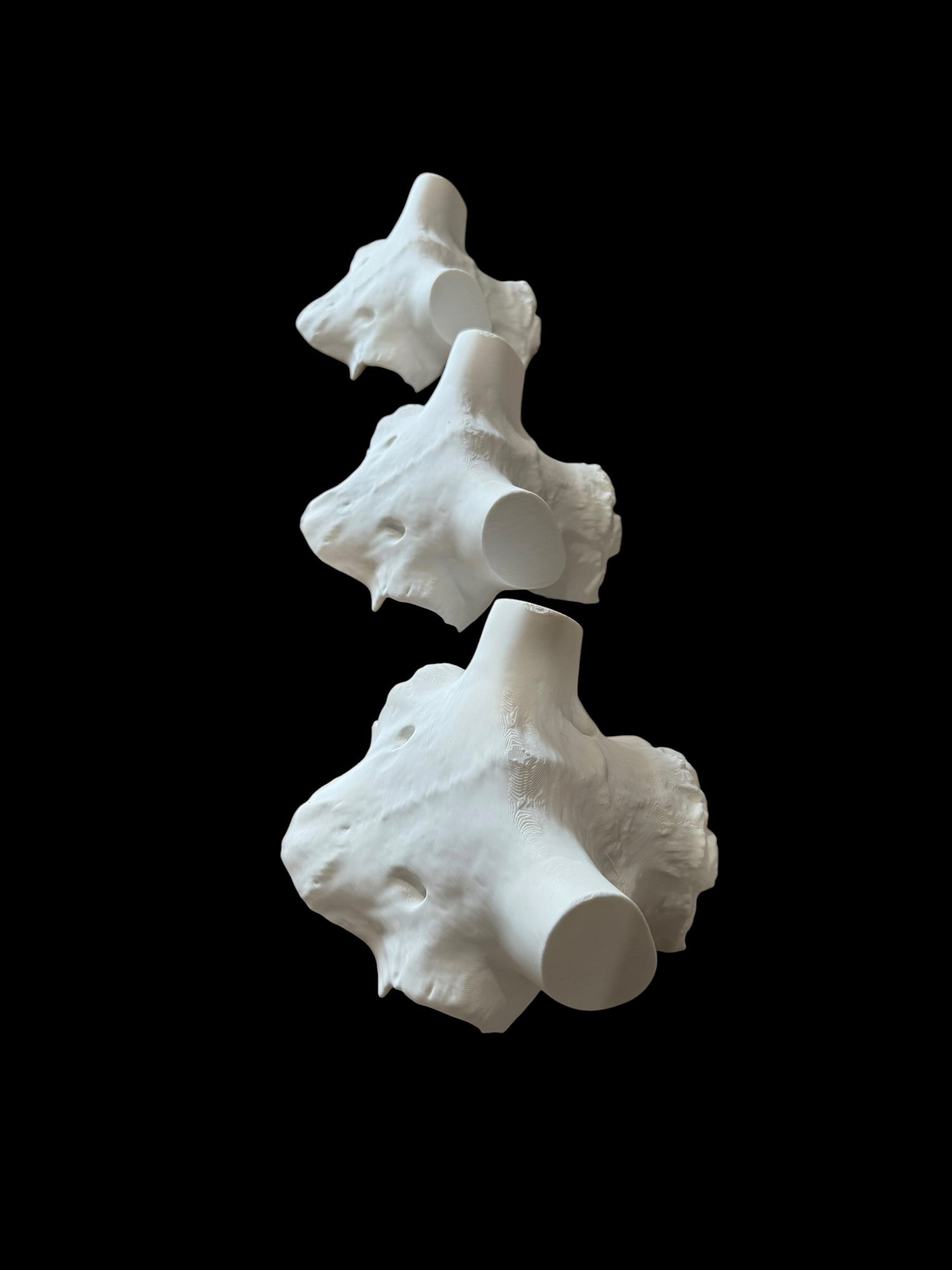 Ram Skull Caps