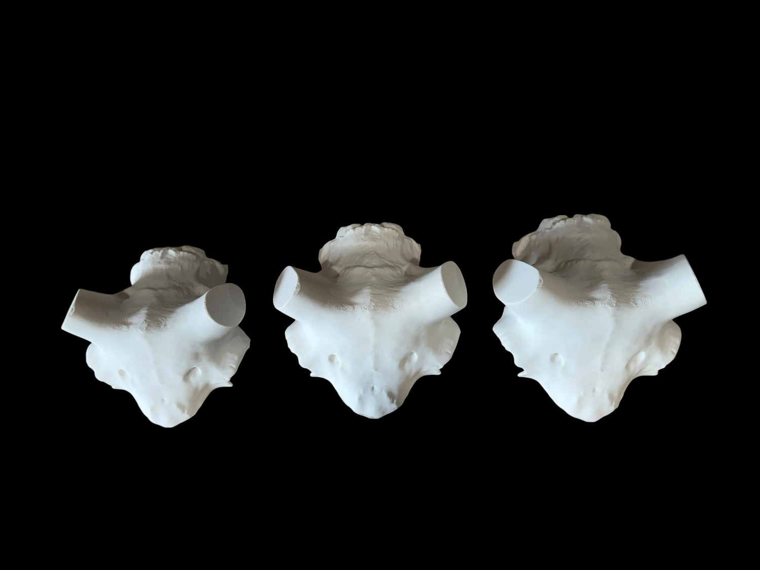 Ram Skull Caps