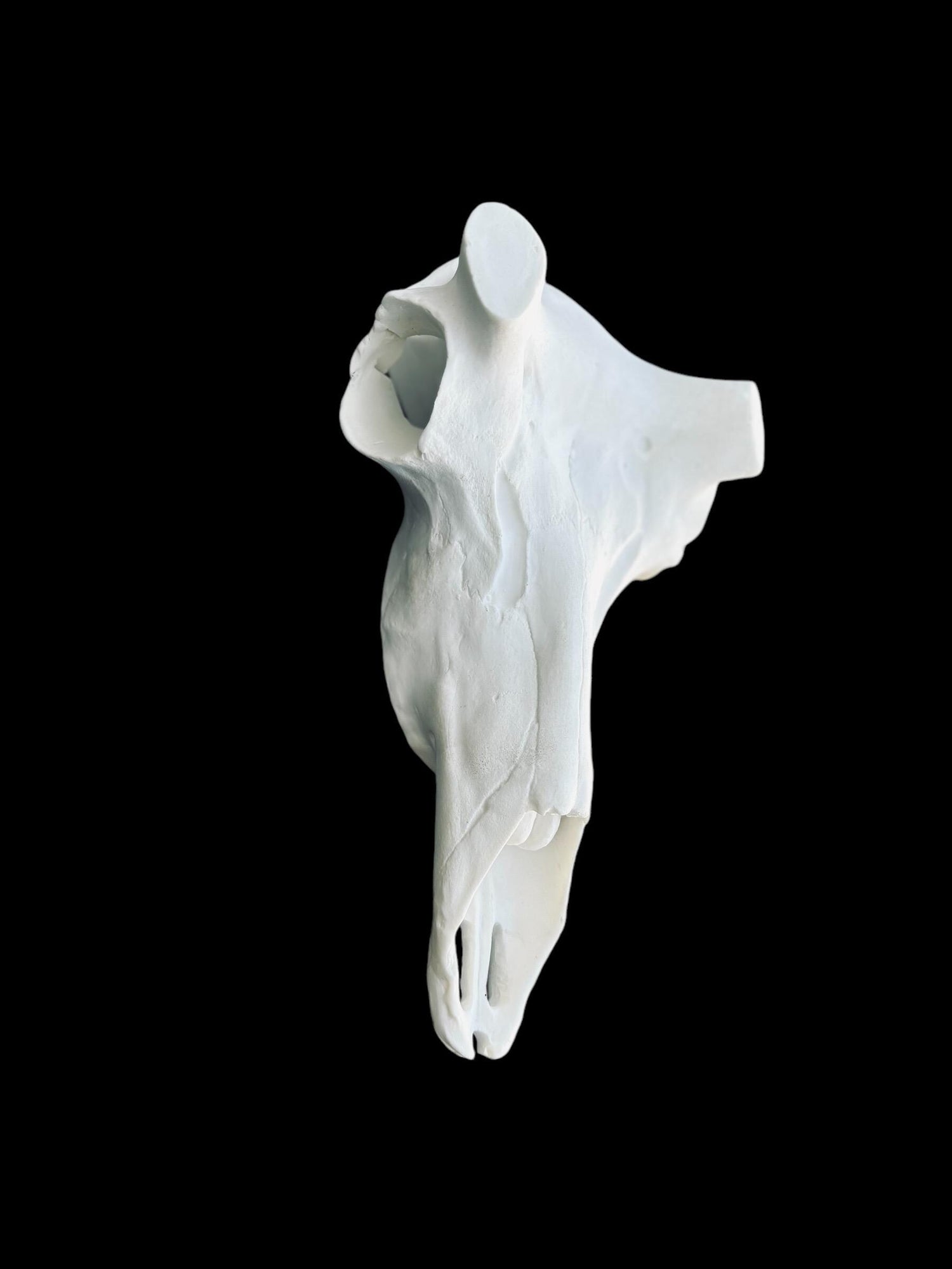 Antelope Skull (Flat Back)